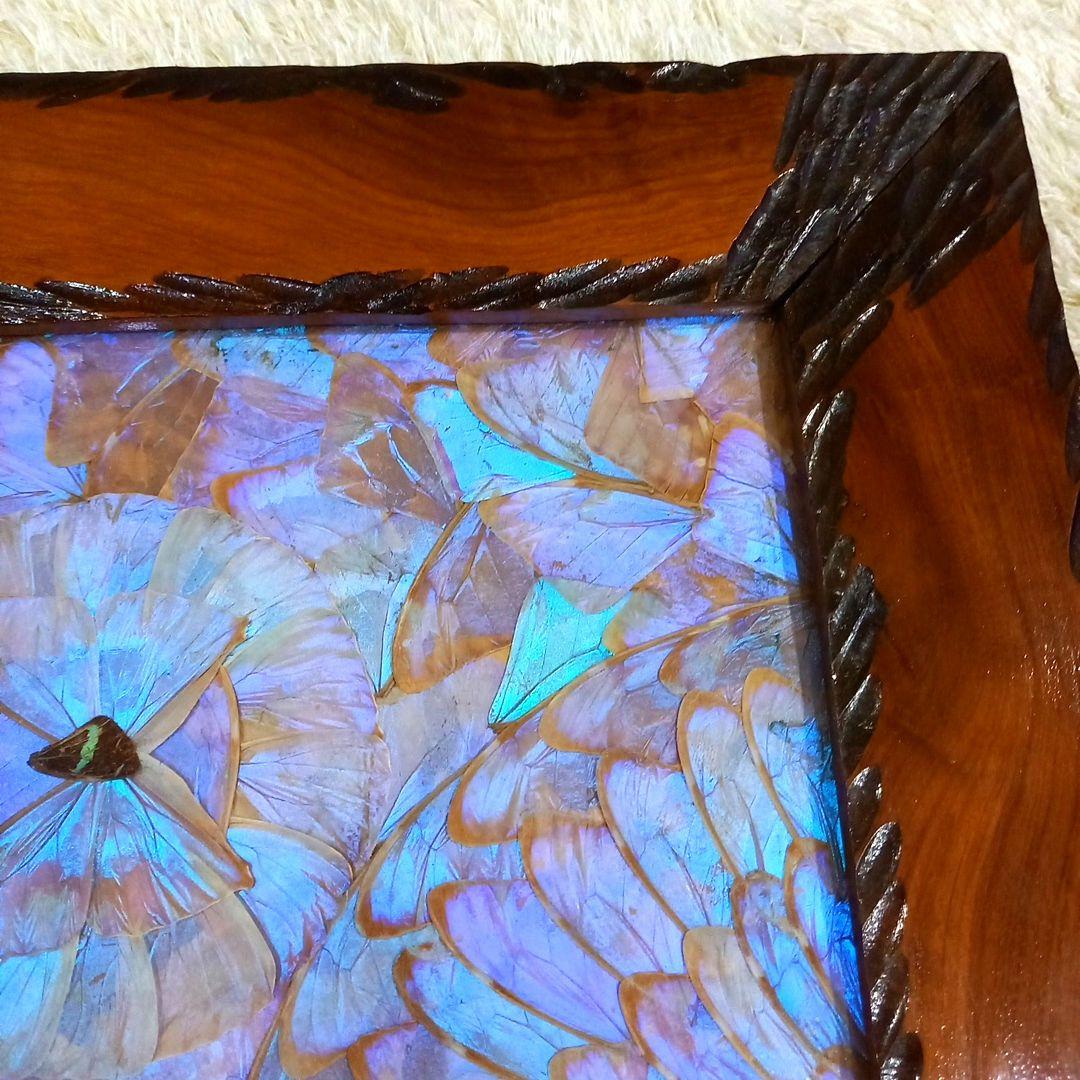 希少 羽根細工 モルフォ蝶◇蝶羽画 絵画 木製額 - メルカリ