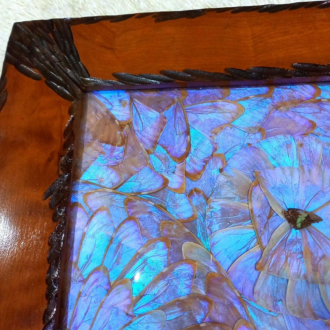 希少 羽根細工 モルフォ蝶◇蝶羽画 絵画 木製額 - メルカリ