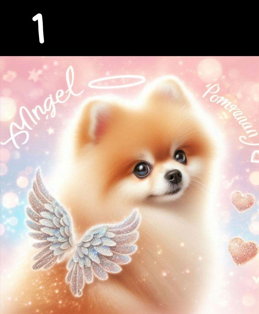 Misaki様　オーダーページ　5/24