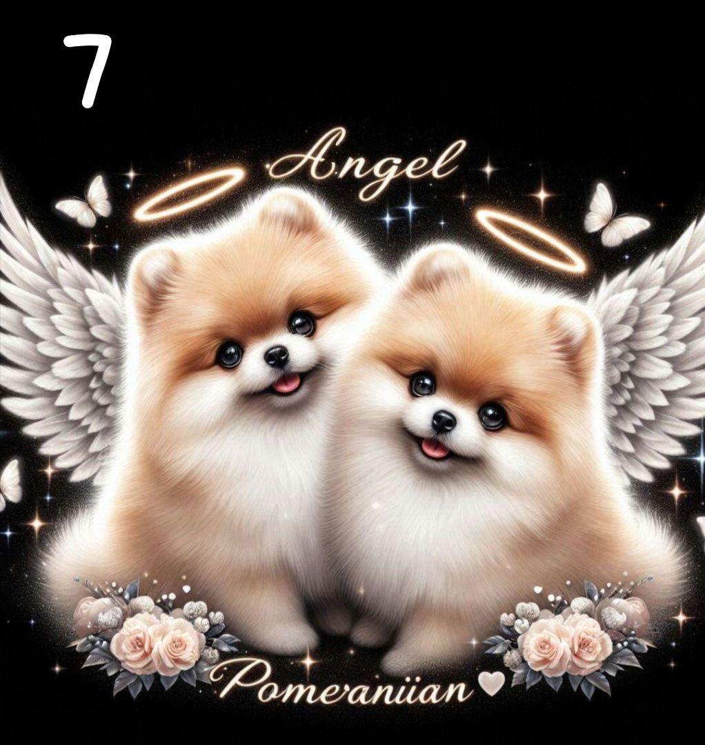 Misaki様　オーダーページ　5/24