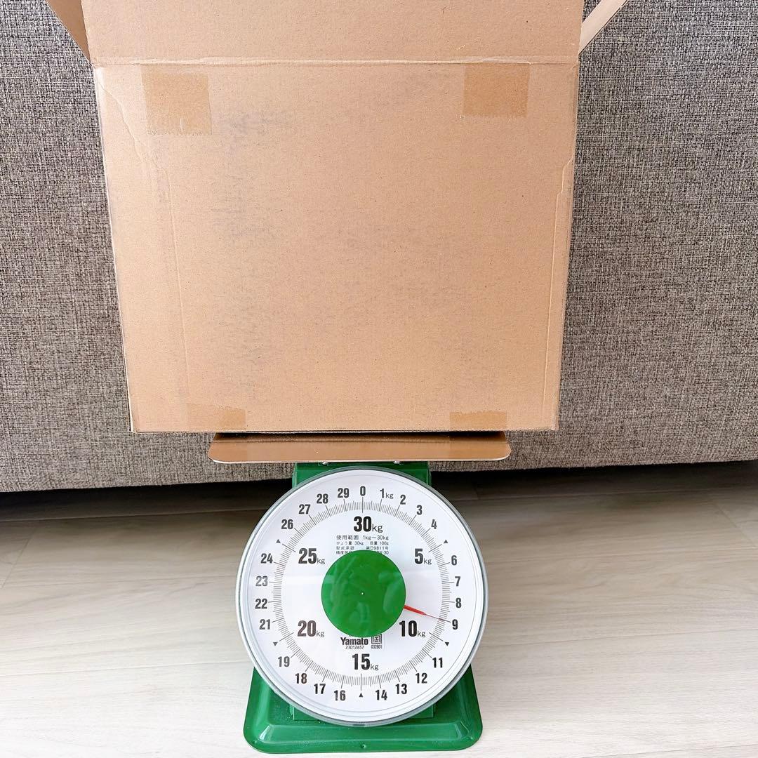 約9kg！フィッシュボール 約7mm玉