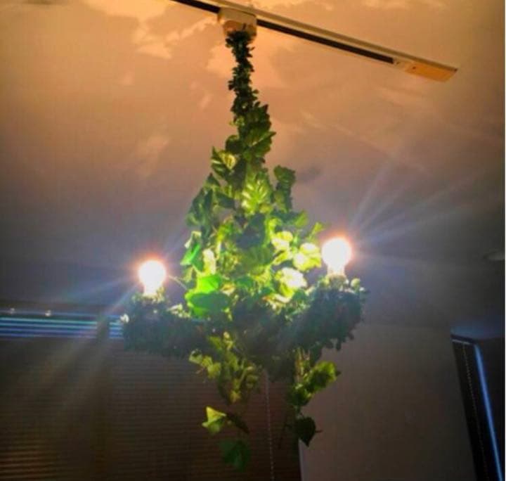 シャンデリアライト3灯☆照明　おしゃれモダン