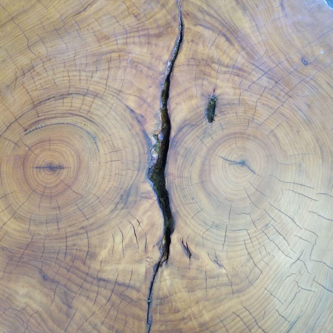 無垢板テーブル　楠の木　極厚　二股　希少！メルカリ頼める便発送❗