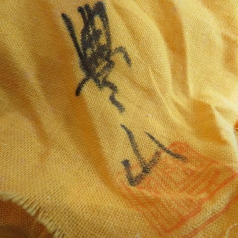 未使用 常滑焼 豊山造 茶注 急須 共箱