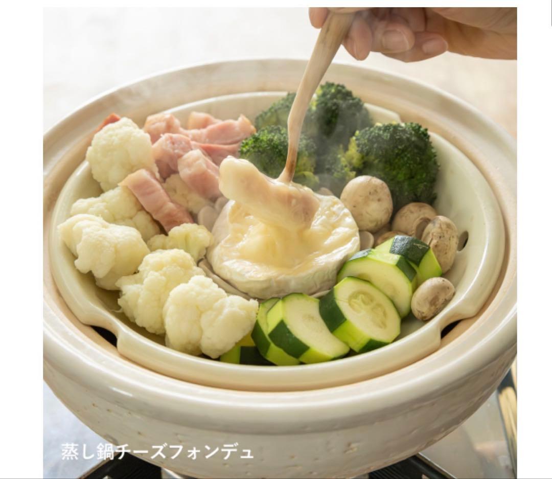 未使用 長谷園　ヘルシー蒸し鍋　大　土鍋　直径約30㎝　伊賀焼