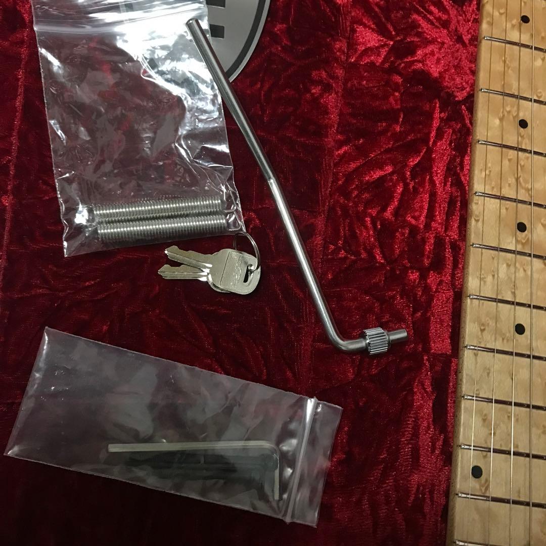 レフティEVH WOLFGANG special made in japan - メルカリ