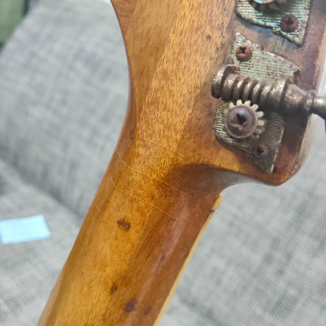 【希少】VOICE DELICATE PROFESSONAL #3 ビンテージ