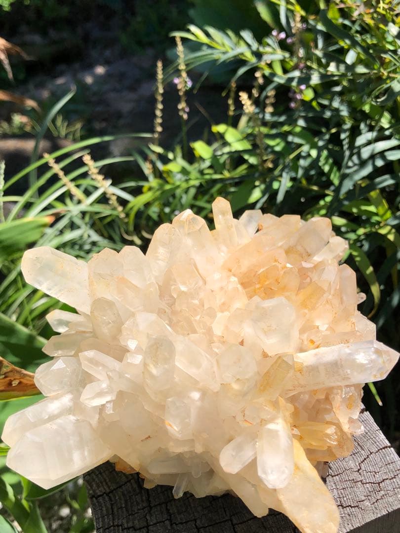 ❤️買い得　1kg 超レア　花形　強いパワー　極みの逸品　クラスター　水晶