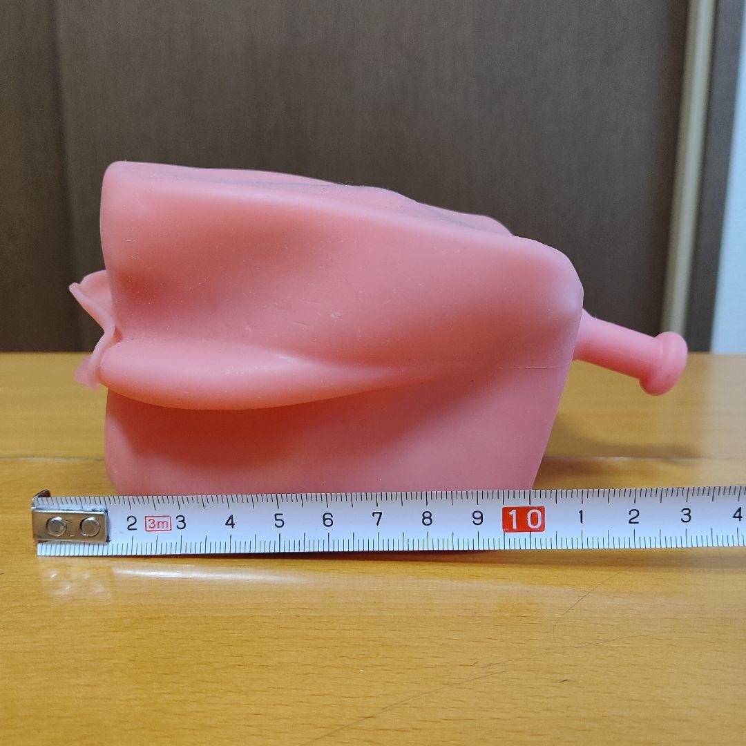 歯の模型/歯科衛生士