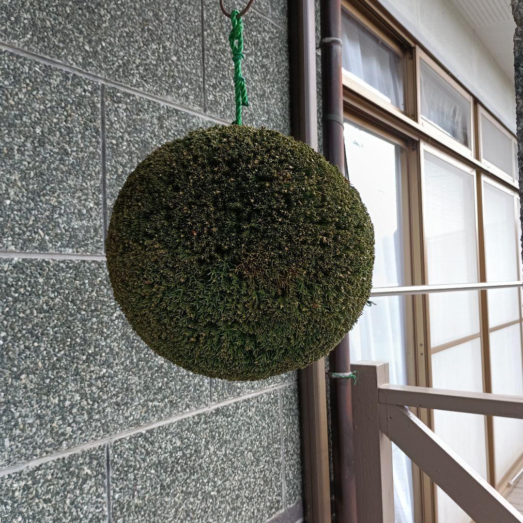 杉玉 直径約29cm 屋根なし - メルカリ