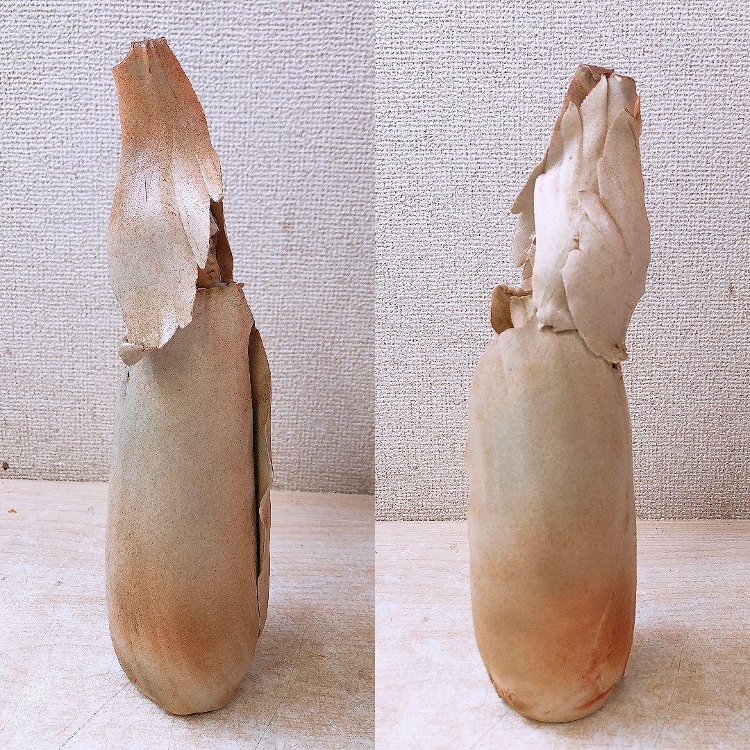 N*g様 ⑥竹内祥子? 陶器作品 陶人形 森の精リーベ ビスクドール アンティー