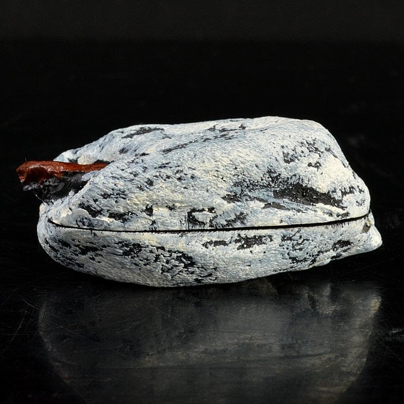 茶道具 乾漆 干柿 香合 時代箱 V 6223 - メルカリ