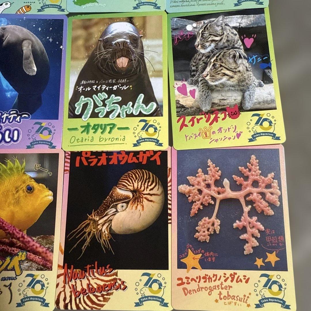 鳥羽水族館 コレクションカード ⑨ 16枚セット - メルカリ