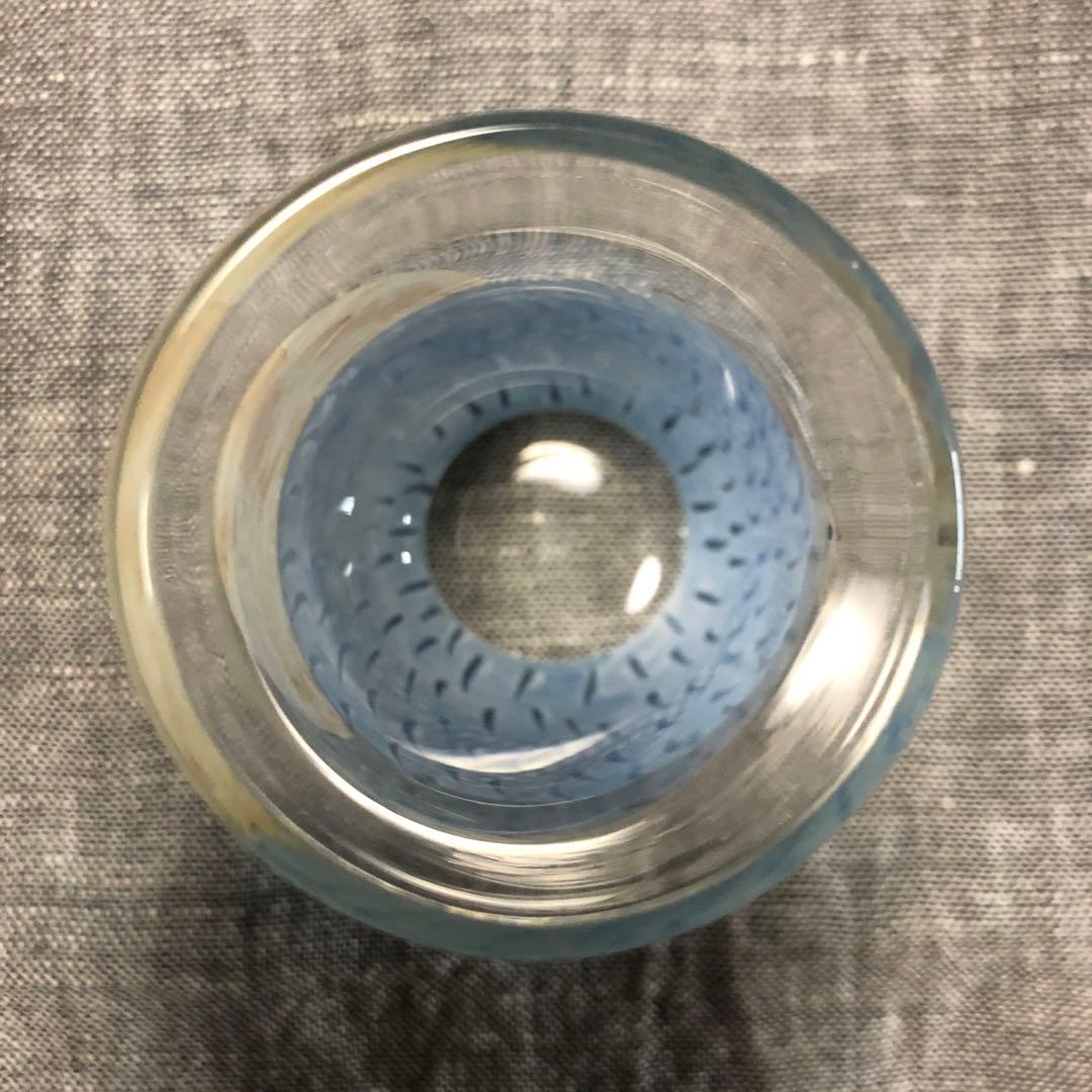 松岡装子さん　ぐいのみ　犬と月