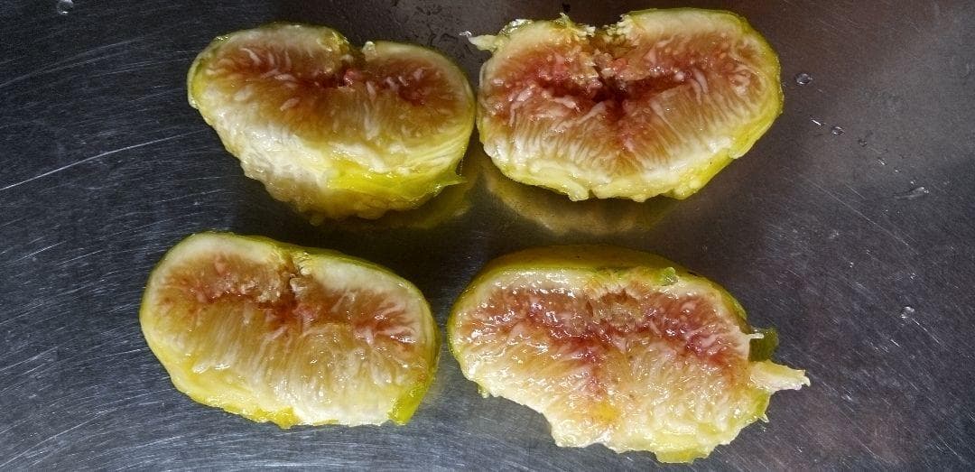 アボカド　いちじくなどの穂木　注文確認用