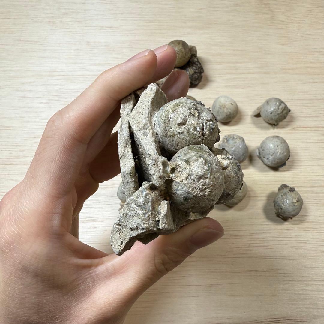 古瀬戸 陶丸 鎌倉時代 室町時代 陶片 発掘品 古常滑 古美濃