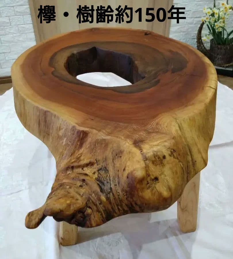 欅の輪切りテーブル㉖　樹齢約150年の欅の一点物　欅の耳付き自然木のローテーブル