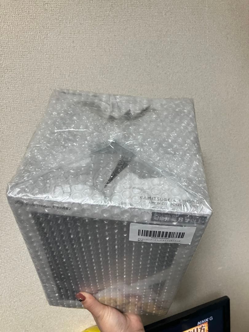 未開封品 コトブキヤ ポケモンセンター カミツレ エモンガ ポケモン フィギュア