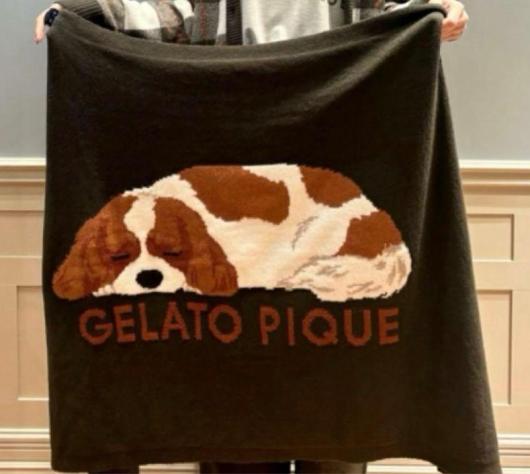 ジェラートピケ SLEEPING DOG ジャガードブランケット キャバリア柄②