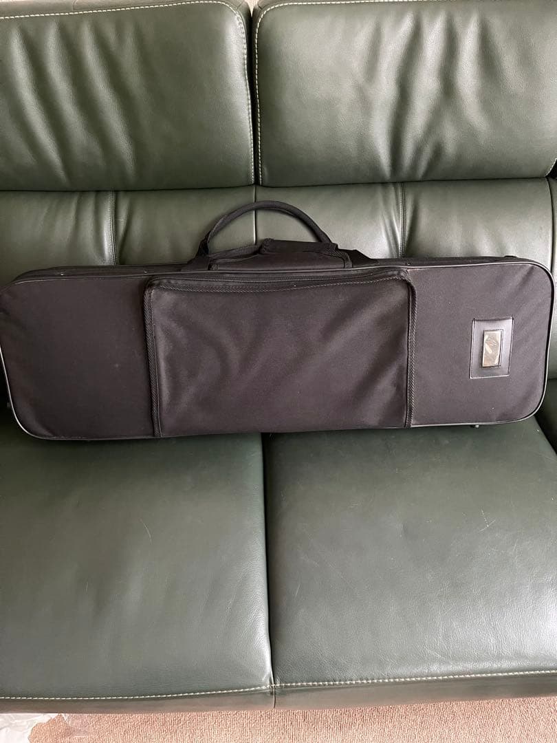 カラクイが美しい蛇皮三線 、バチその他ハードケース付き