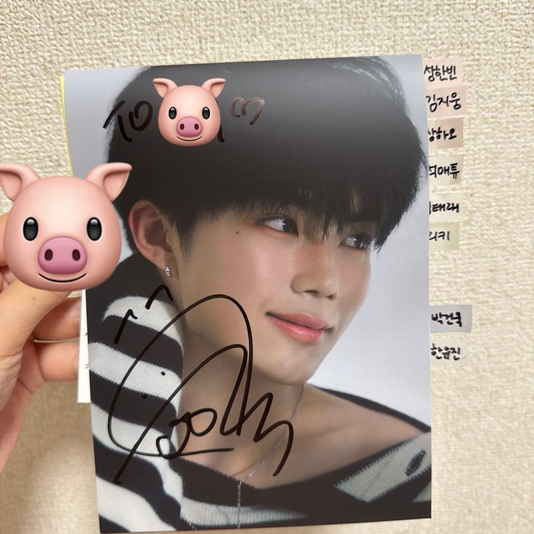 ゴヌク ZB1 ゼベワン サイン - メルカリ