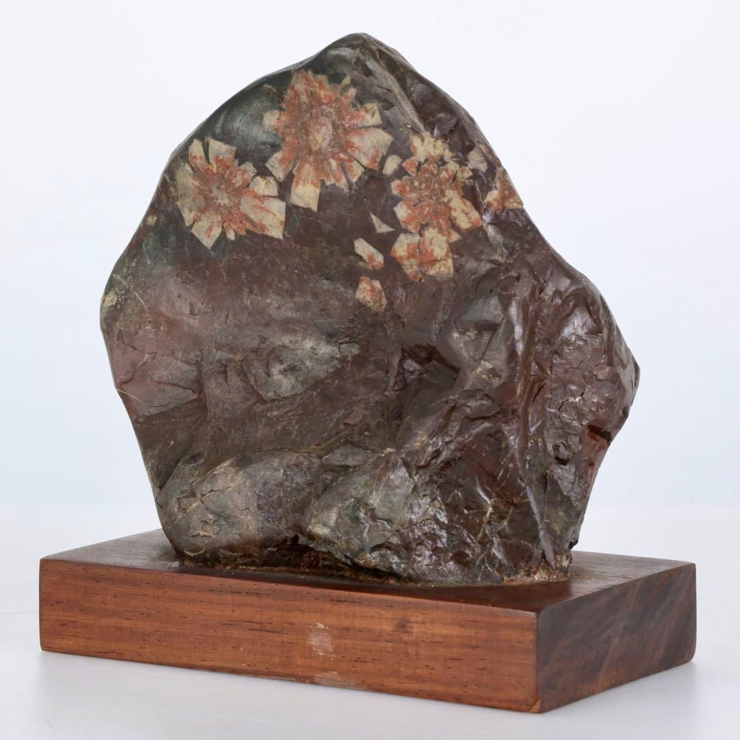 菊花石 菊紋石 小菊 紋石 台座付 1.1kg 鑑賞石 原石 自然石 美石 水石