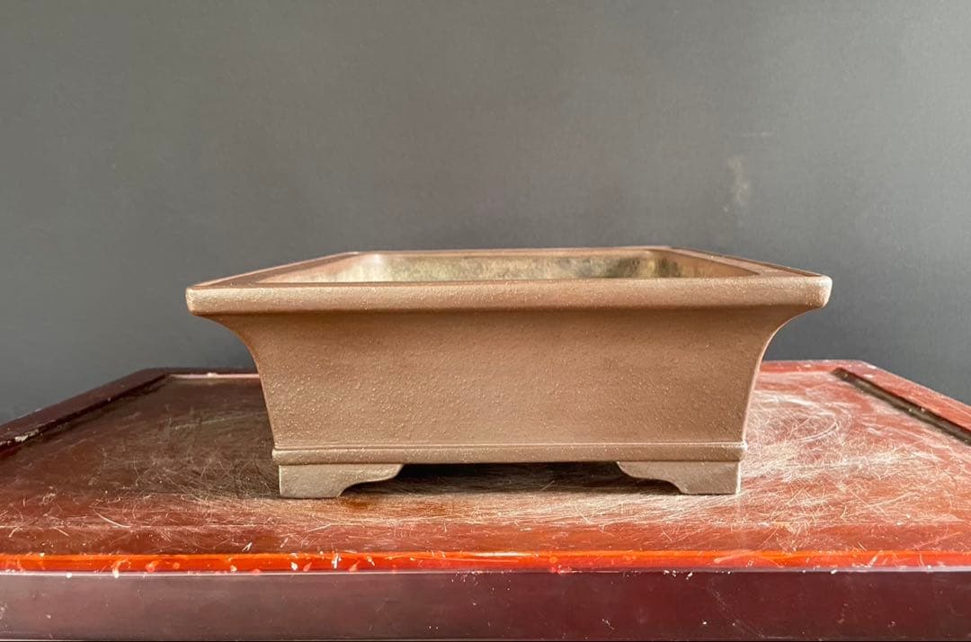 白木盆栽園　山秋　松泉　盆栽鉢　横35センチ　鉢和鉢盆栽趣味陶器盆器植木鉢