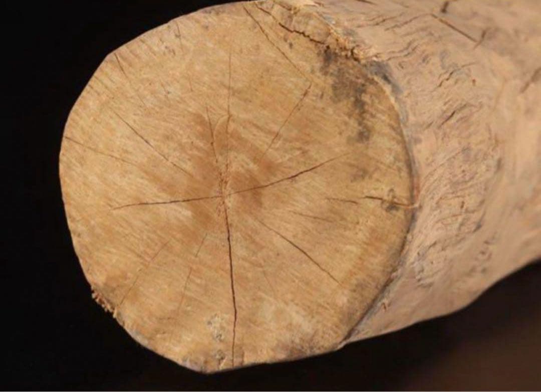 【激レア】200万円 白檀原木