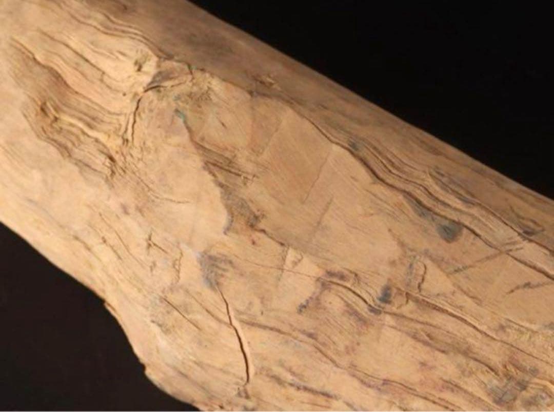 【激レア】200万円 白檀原木