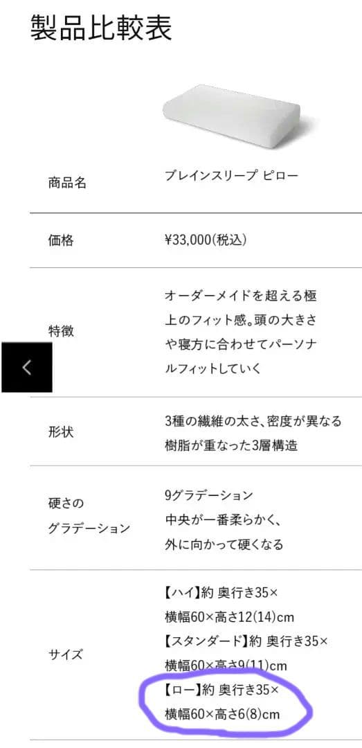 ブレインスリープ　枕