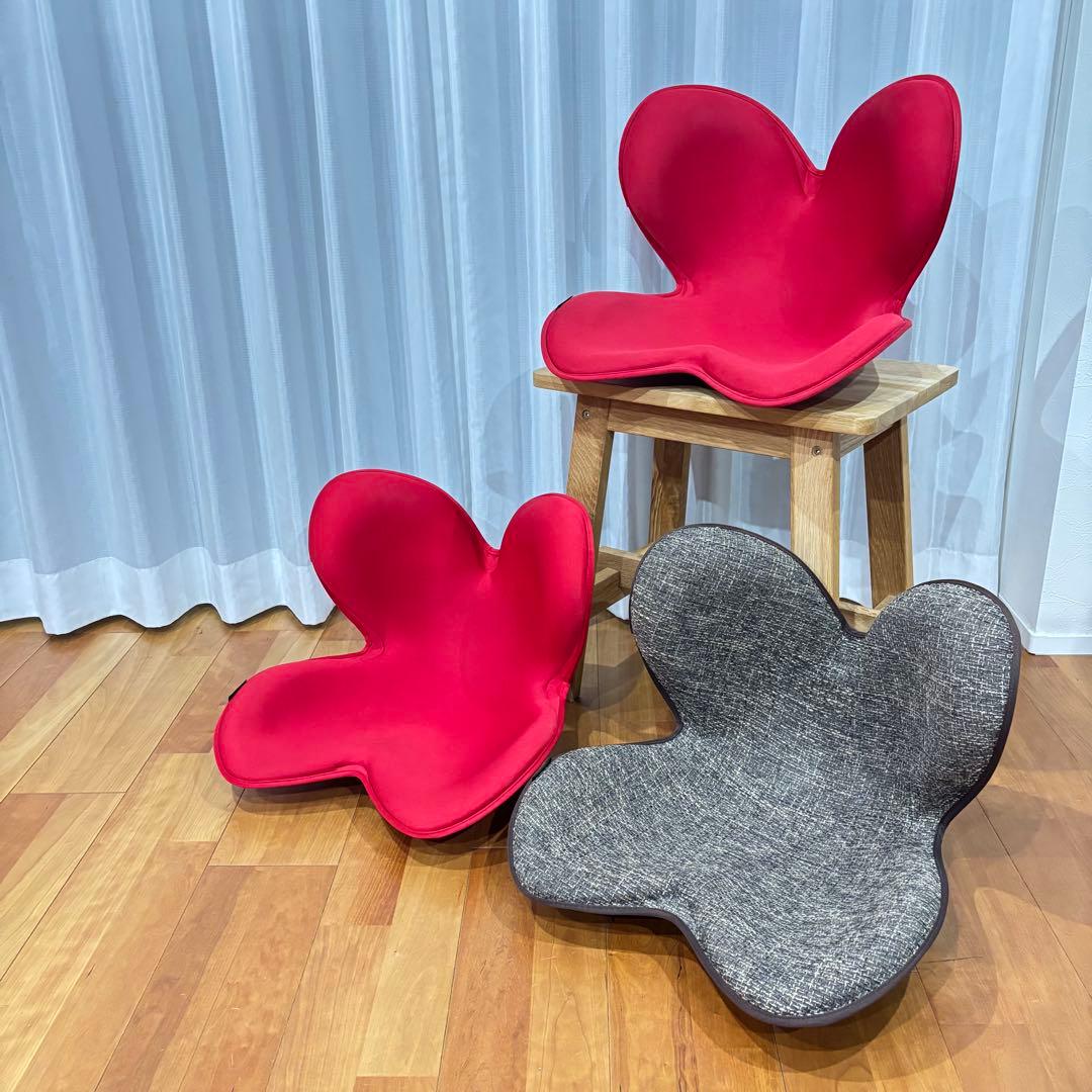 【ご家族で使える】MTGスタイル 骨盤・姿勢矯正クッション 3個セット