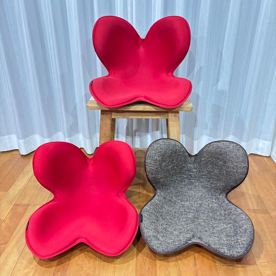 【ご家族で使える】MTGスタイル 骨盤・姿勢矯正クッション 3個セット