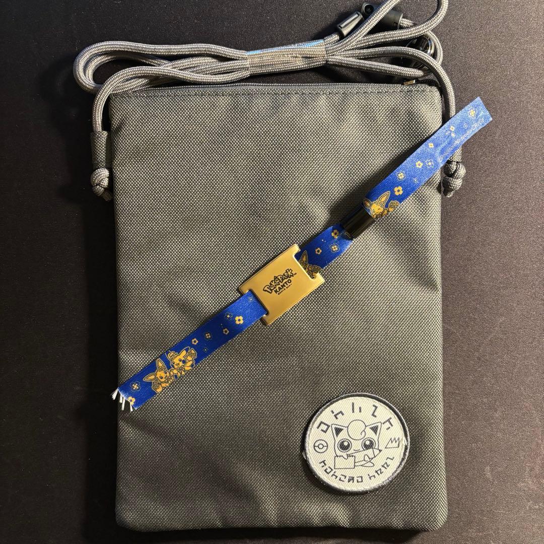 ポケパークカントー エリートトレーナーズパス 特典 - メルカリ