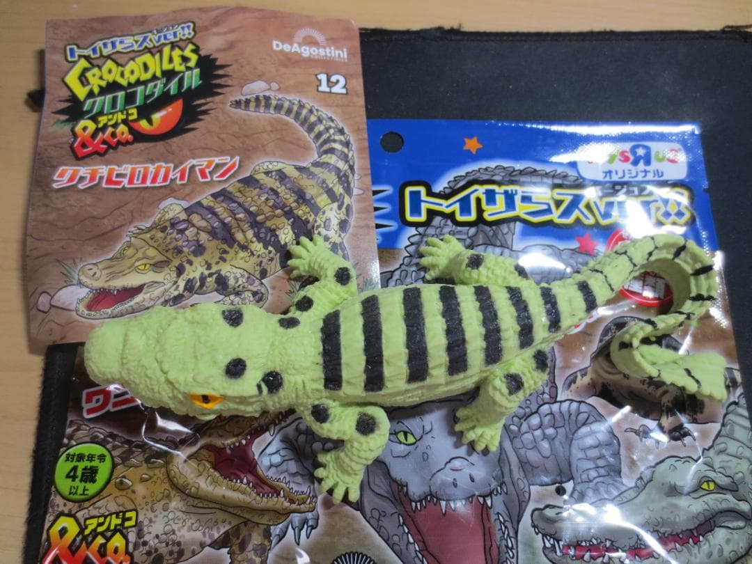トイザらス限定 クロコダイル&Co.アンドコ クチビロカイマン 鰐 ワニ