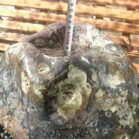 新潟産梅花石蹲 庭石 鑑賞石 置物 オブジェ インテリア 水槽 蹲 盆栽