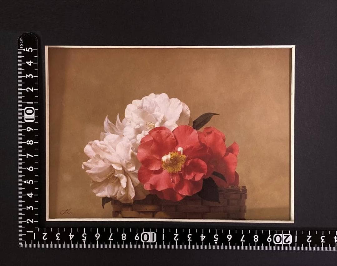 森本草介、【牡丹2】、希少な画集より、新品額装付、マット額装付き