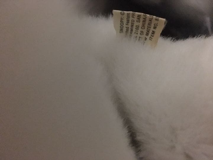 ファミリア スヌーピー Snoopy 最大級 引き取り兵庫【いまだけ