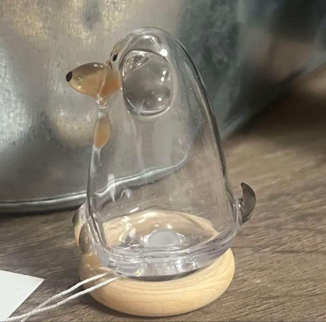 うちの子けだまだま 犬 黒ダックス Mサイズ　ブラックタン　チョコタン