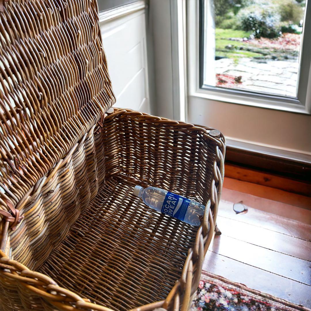 天然皮付き籐アラログ　インテリアバスケット　蓋付きバスケット　チェストバスケット