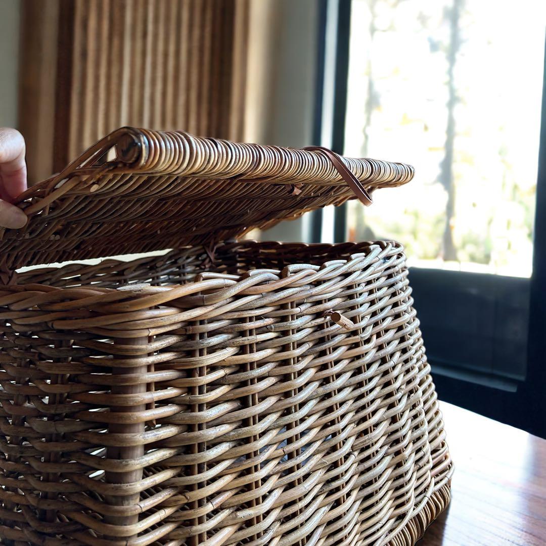 天然皮付き籐アラログ　インテリアバスケット　蓋付きバスケット　チェストバスケット