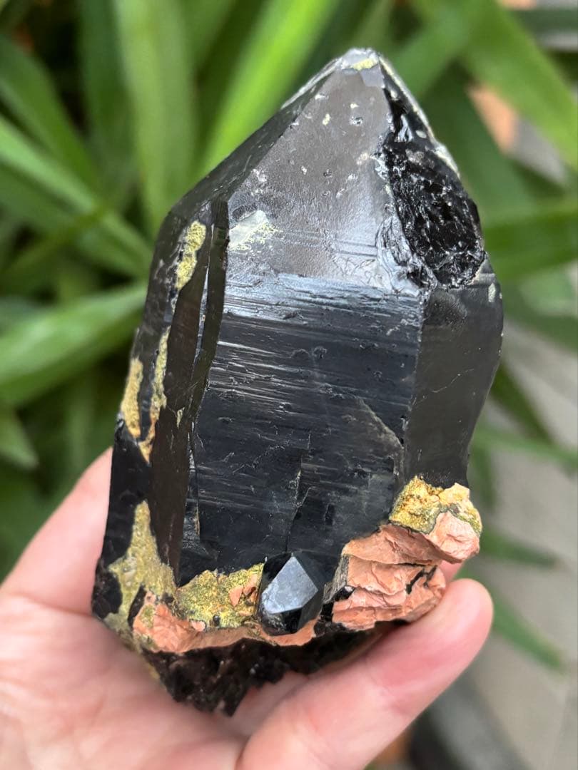 中国山東省産　モリオン　ポイント　557g エピドートあり　台座付　力強さ