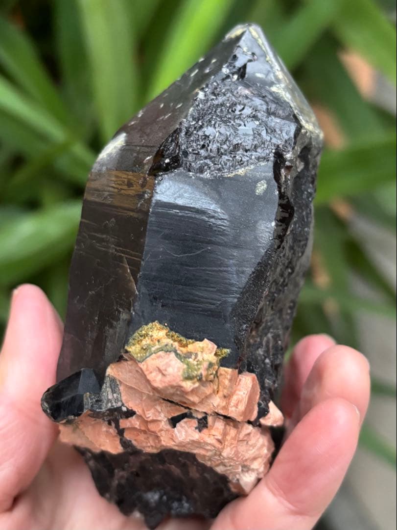 中国山東省産　モリオン　ポイント　557g エピドートあり　台座付　力強さ