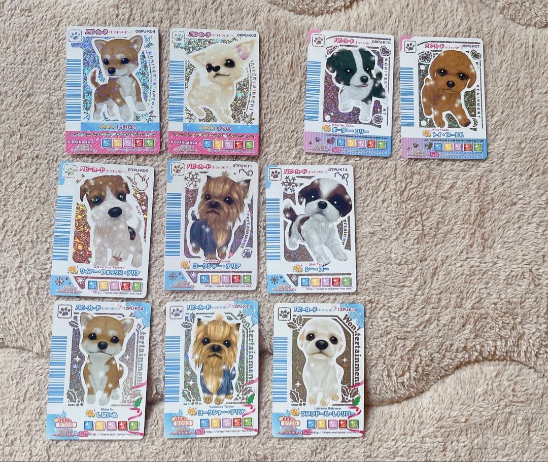 ワンタメ パピーカード 購入前コメントお願いします - メルカリ