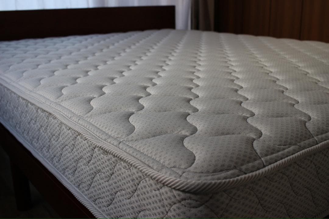 クイーン フランスベッド TW-010α + ベッドフレーム