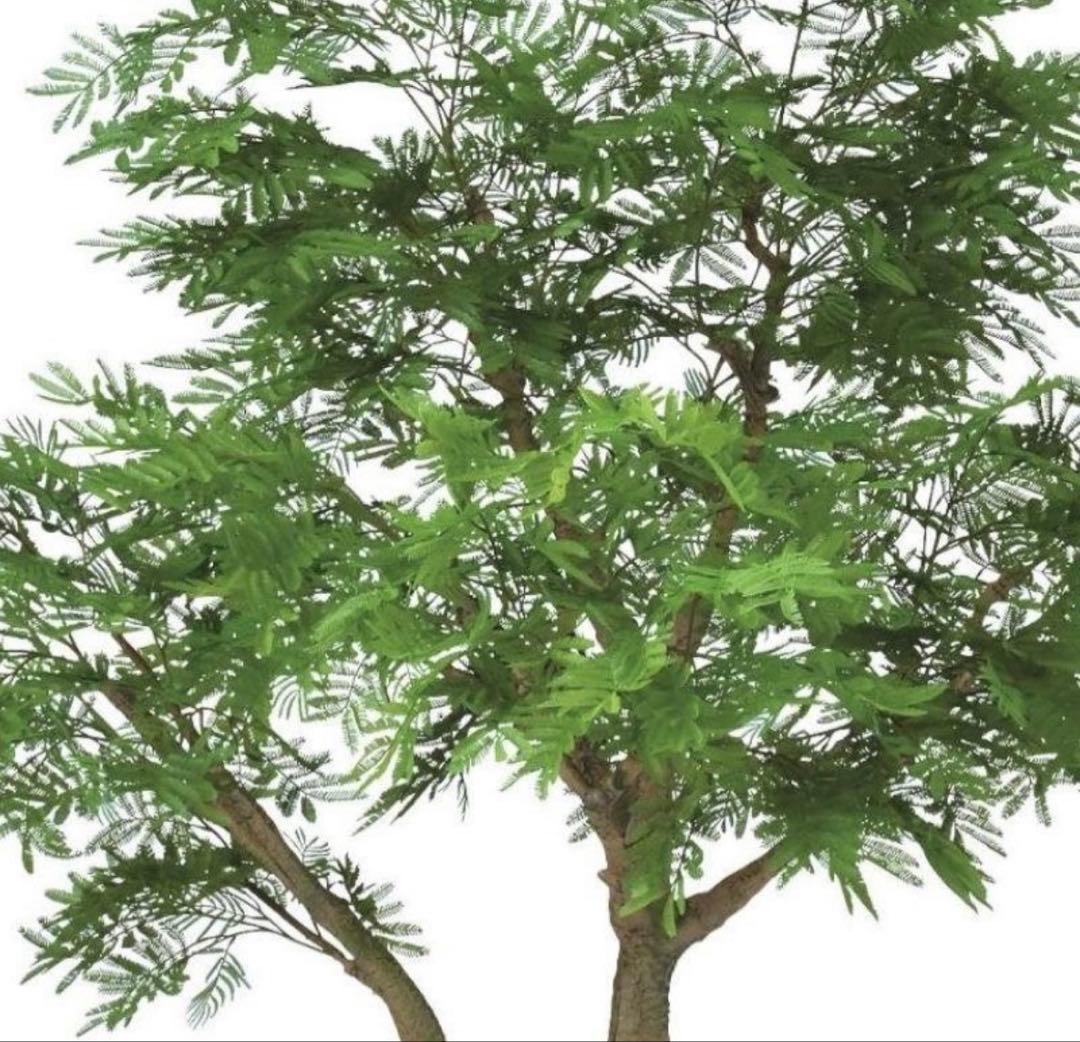 光触媒　人工観葉植物　フェイクグリーン　エバーフレッシュ コアッド200