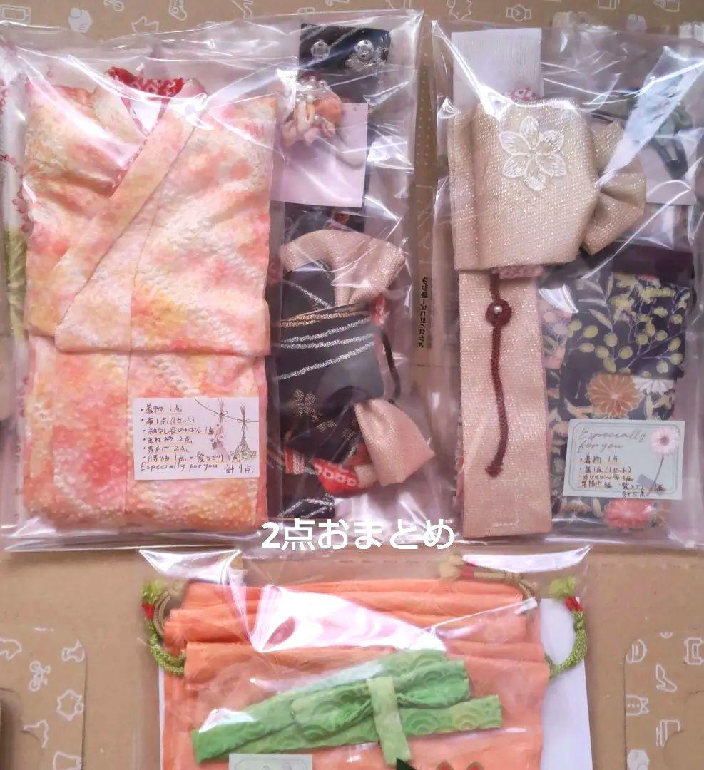 【記録用】パオラレイナ パオラドール アウトフィット 着物