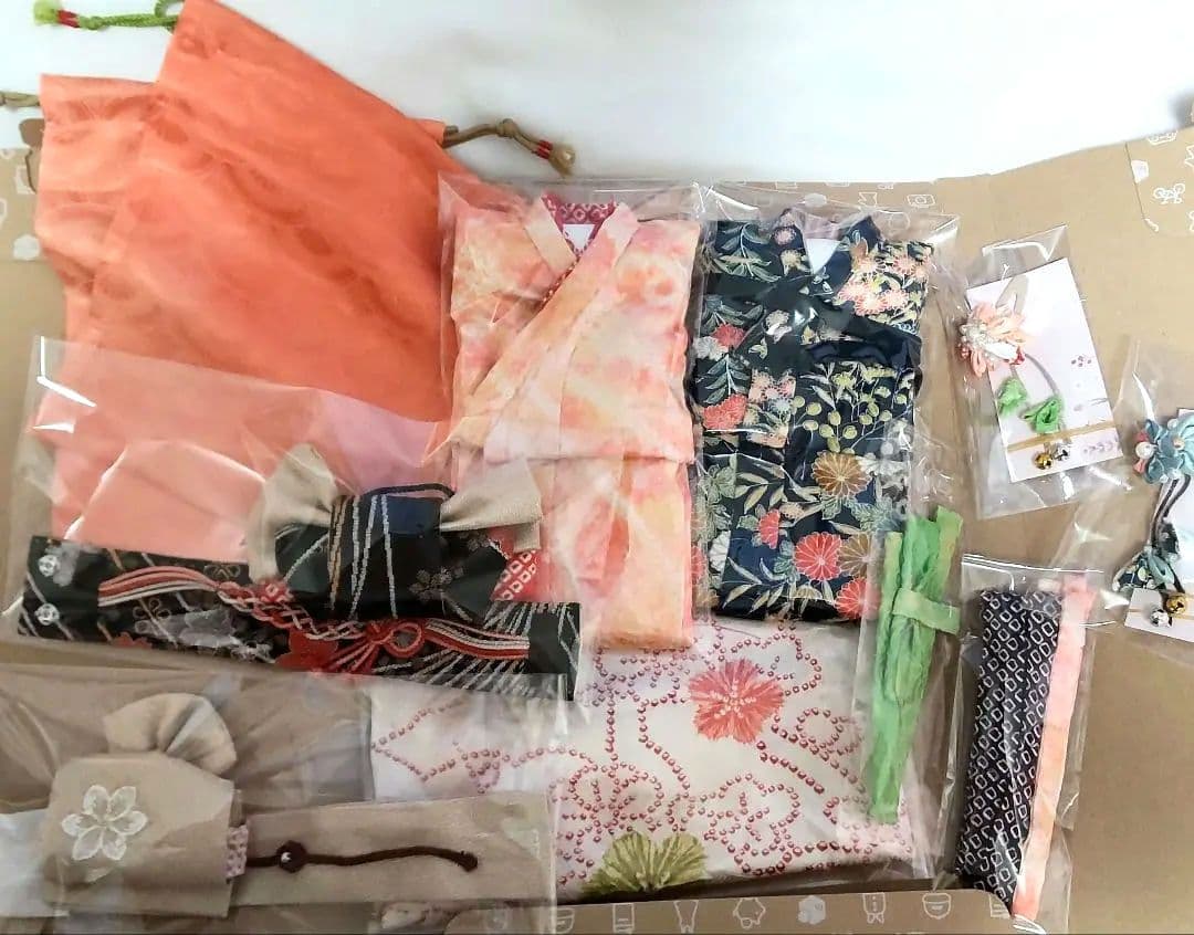 【記録用】パオラレイナ パオラドール アウトフィット 着物