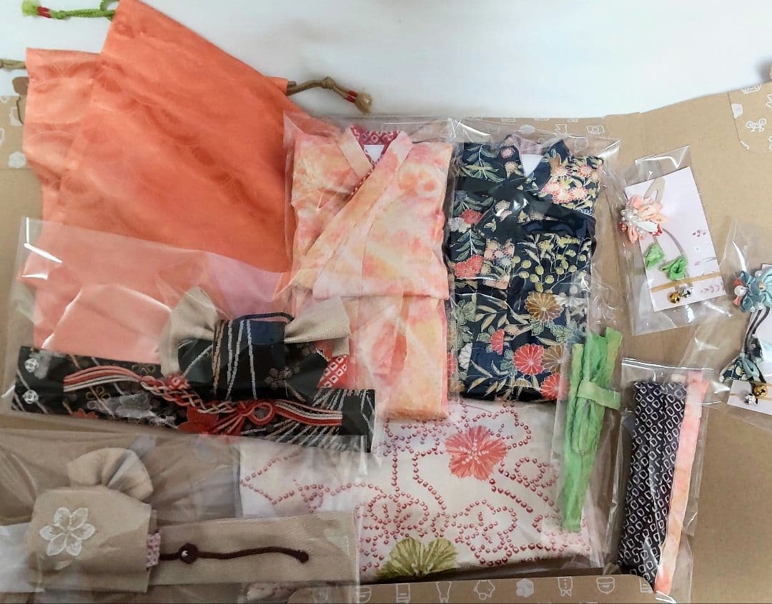 【記録用】パオラレイナ パオラドール アウトフィット 着物