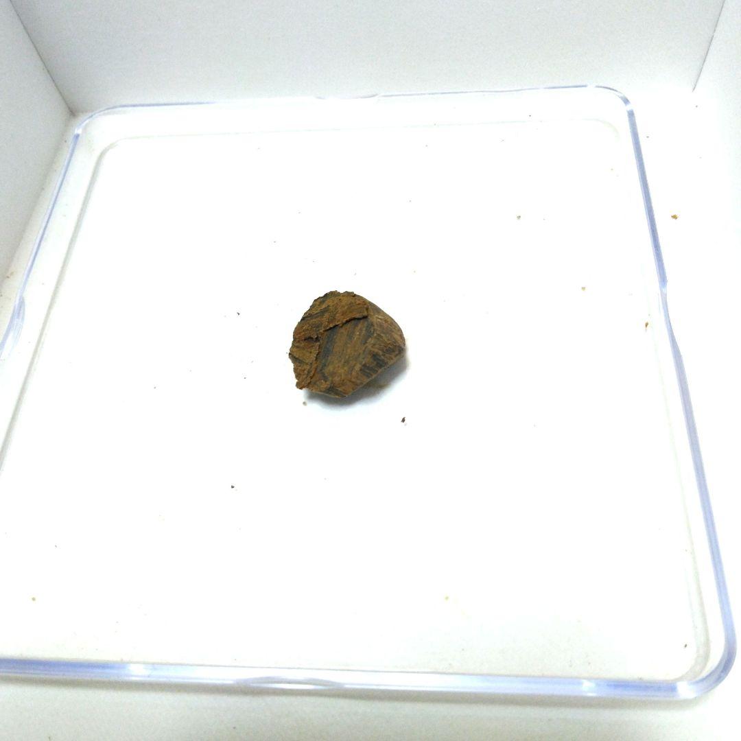 最高級タニ沈香1.26g