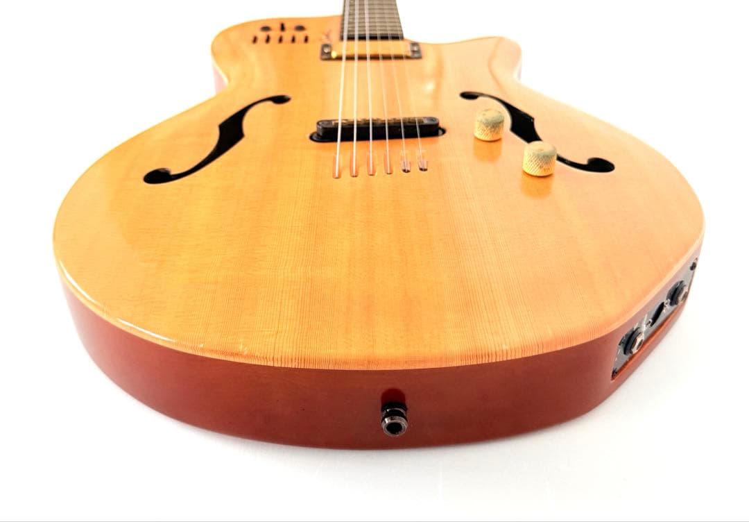 希少】GODIN MULTIAC JAZZ SA セミアコースティックギター - メルカリ